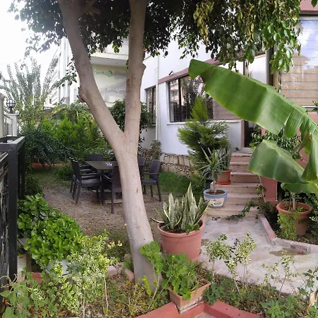 Отель Asem Алания